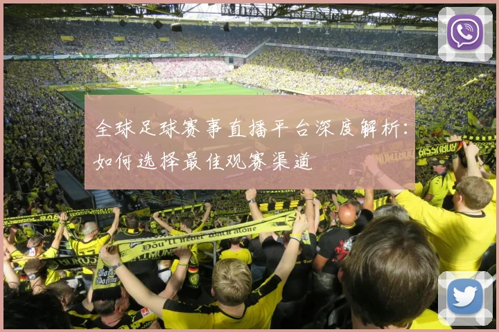 全球足球赛事直播平台深度解析：如何选择最佳观赛渠道
