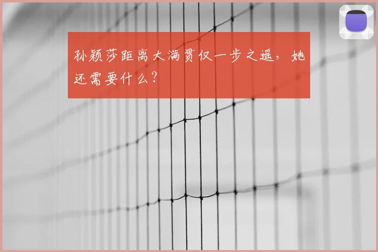 孙颖莎距离大满贯仅一步之遥，她还需要什么？