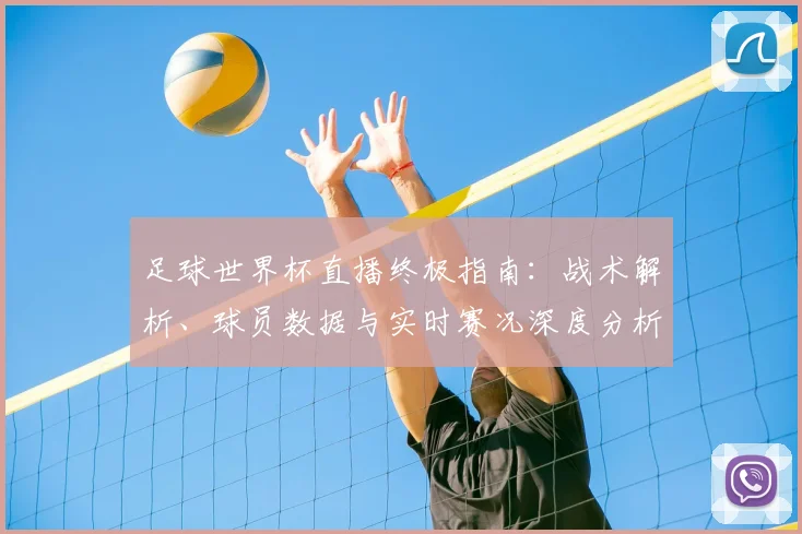 足球世界杯直播终极指南：战术解析、球员数据与实时赛况深度分析