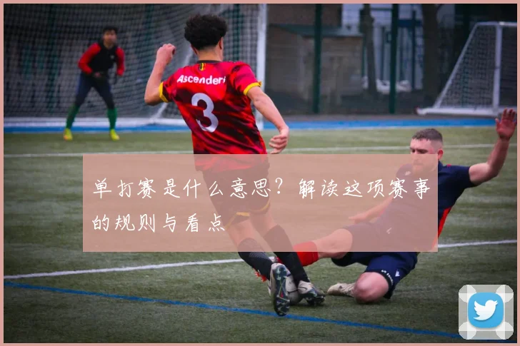 单打赛是什么意思?解读这项赛事的规则与看点